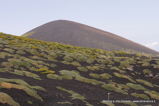 rra delle Concazze-05-08-2014 15-13-40